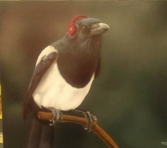 airbrushed bird, magpie part of birds with beats series