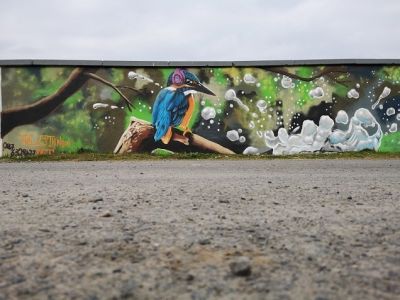 kingfisher with headphones part of the birds with beats series street art mural on wall wildlife art bird art nature