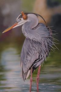 airbrushed bird, heron wearing beats headphones, part of the birds with beats series painted on canvas