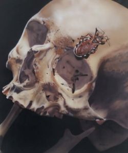airbrush painted skull on canvas with beetle