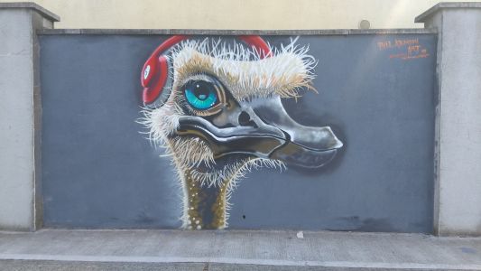 street art mural birds with beats Longford street art mural birds with beats Longford