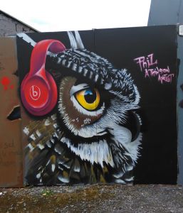 owl mural done during the carnival of adolescent antics cruthu arts festival owl birds with beats