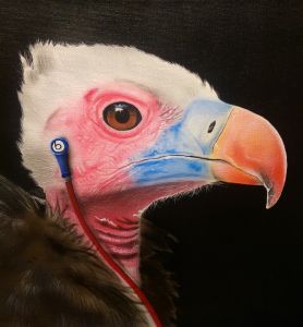 airbrushed bird, vulture wearing earphones, part of a birds with beats series