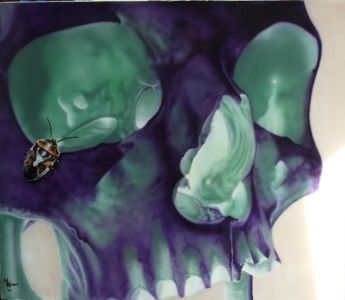 airbrush painted skull with beetle airbrushed on canvas